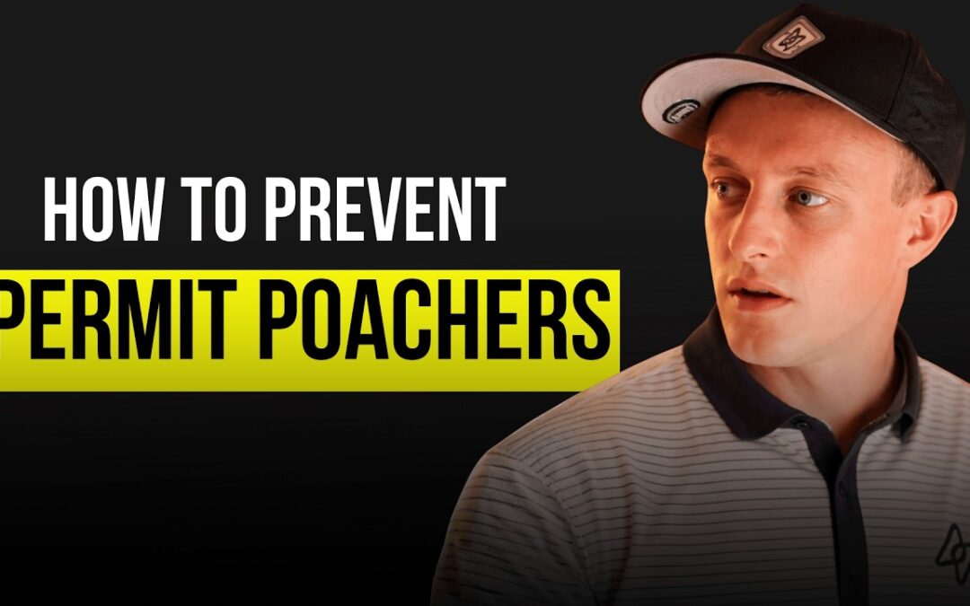 How To Prevent Permit Poachers
