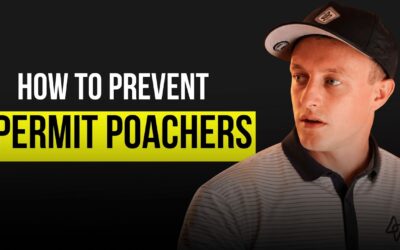 How To Prevent Permit Poachers